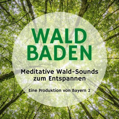 Waldbaden – Meditative Wald-Sounds zum Entspannen | Bayern 2 radioReisen