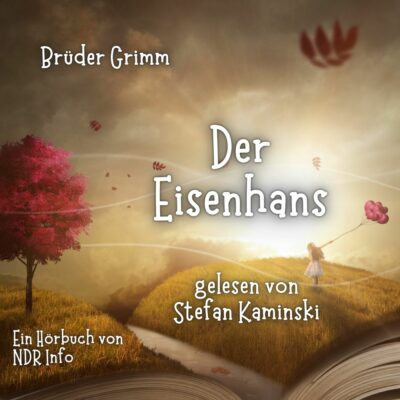 Brüder Grimm – Der Eisenhans | Mikado Märchen