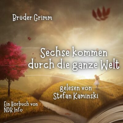 Brüder Grimm – Sechse kommen durch die ganze Welt | Mikado Märchen