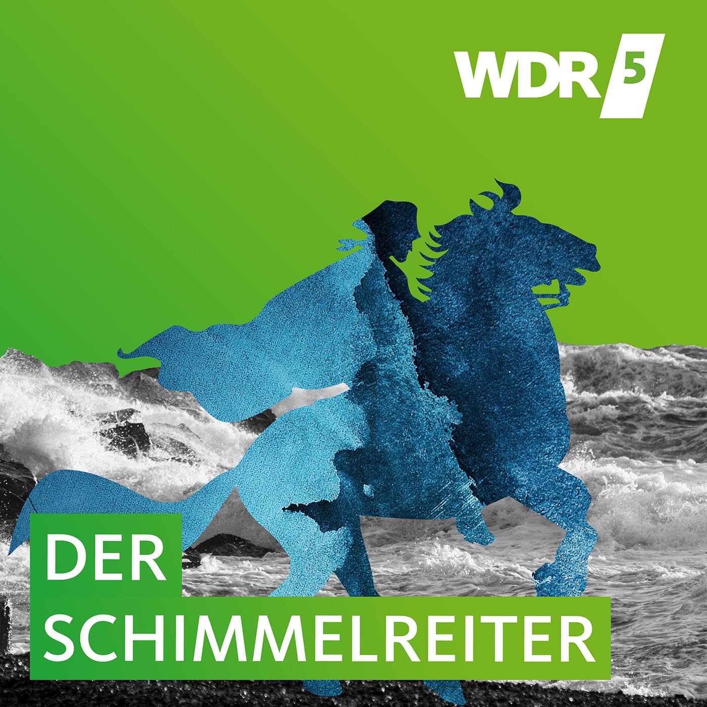 Cover: Theodor Storm – Der Schimmelreiter