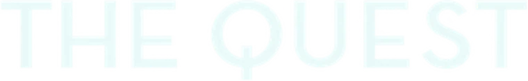 Melanie Raabe – The Quest